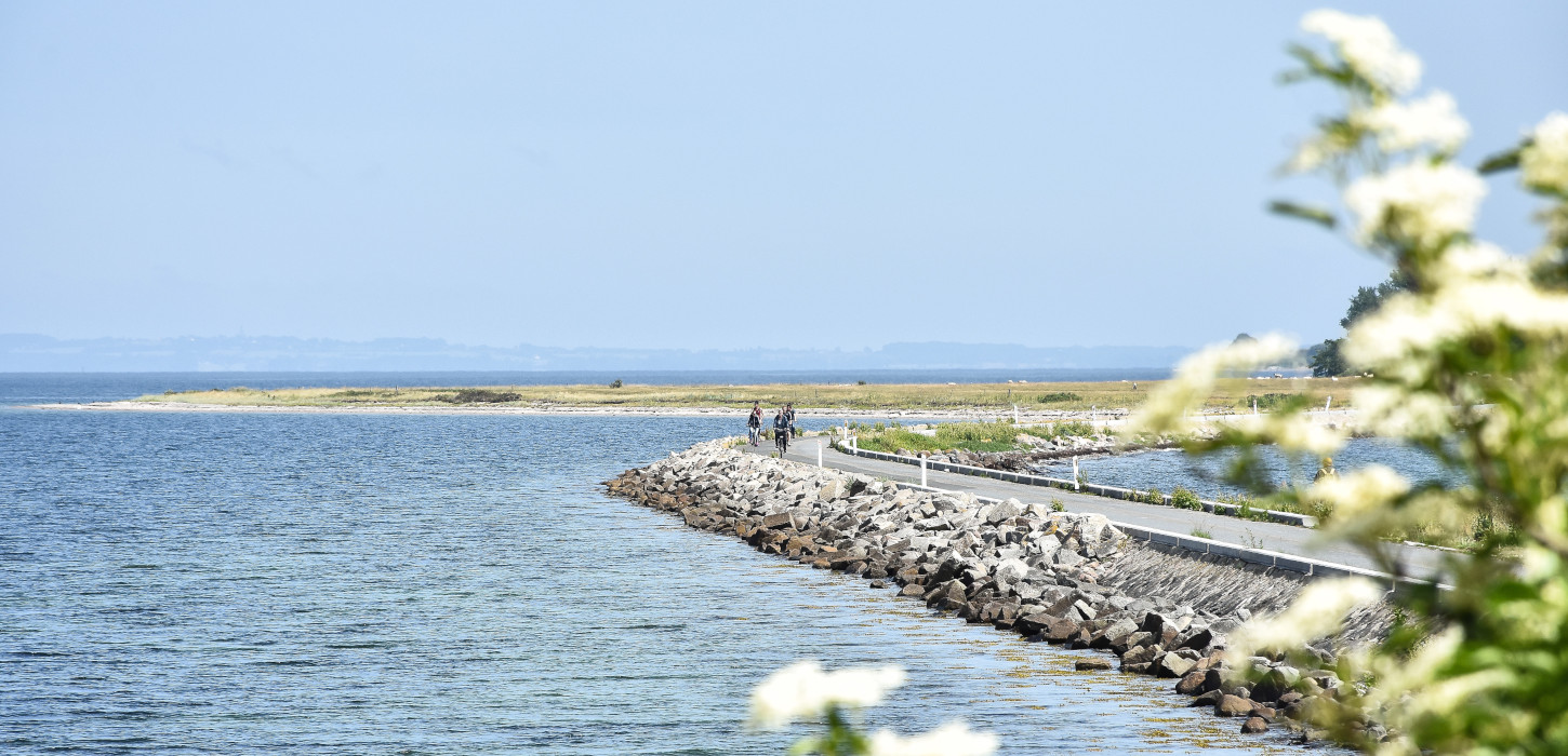 A picture of the coast of Avernakø