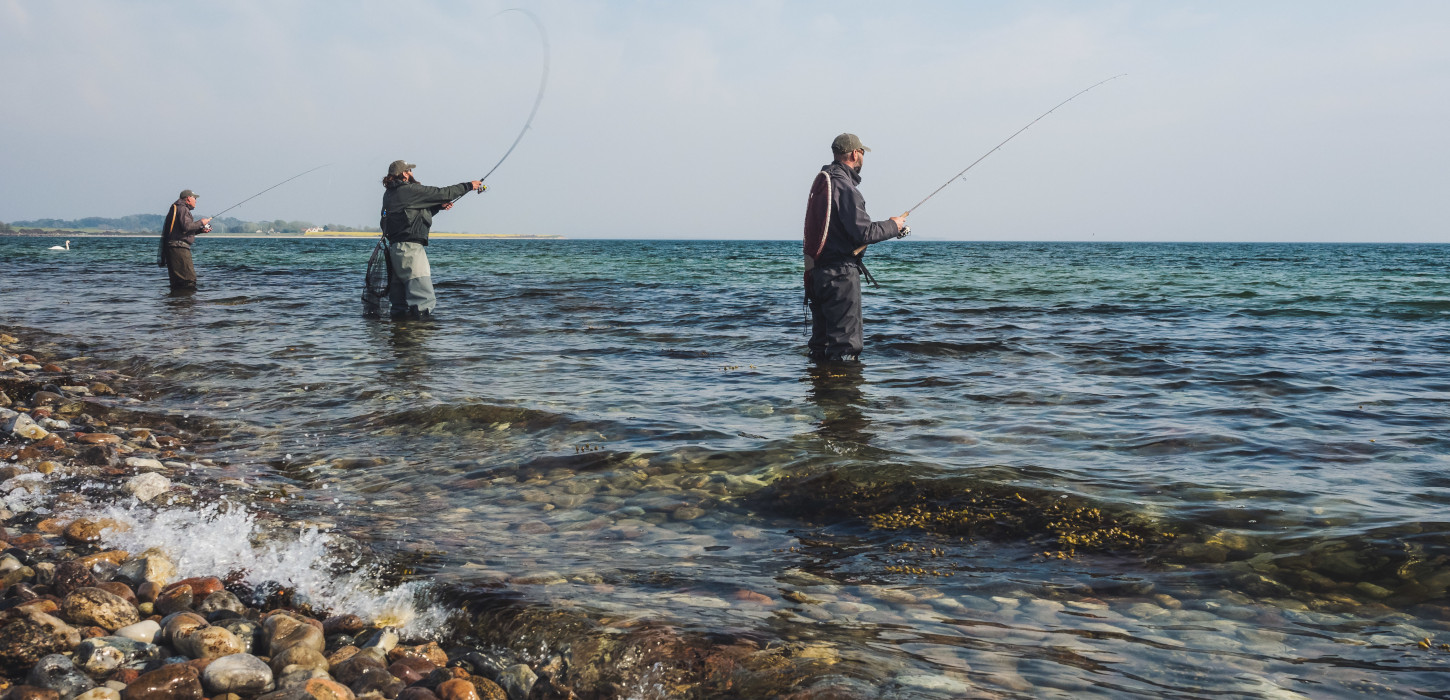 Trout | Angling | South of Funen | Avernakø | Lyø | Bjørnø | Angling spots | Accomendation