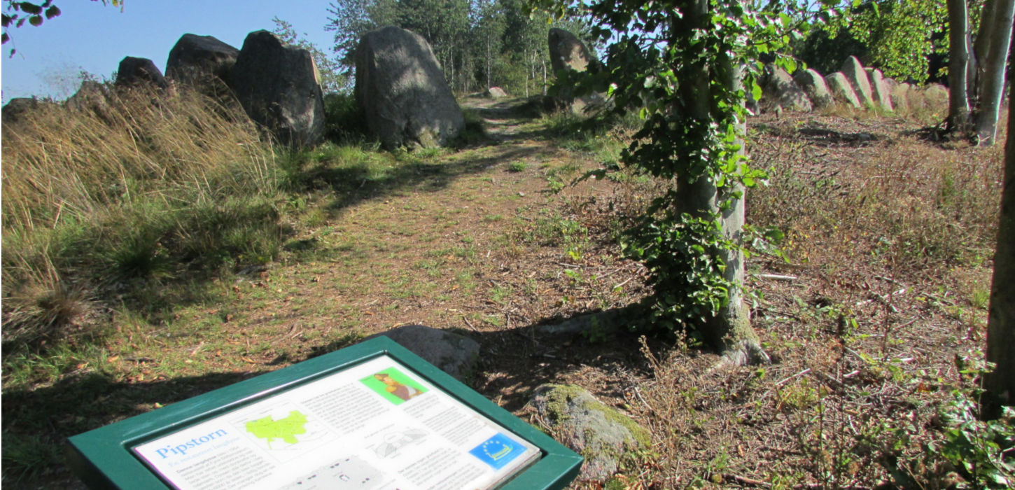 Gravplads Pipstorn Skov