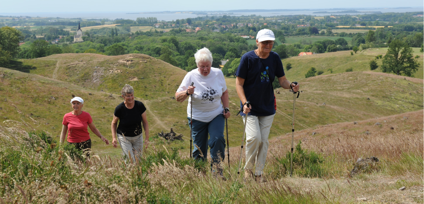 Svanninge | Berge | Wandern | Wanderweg | Inselmeer | Faaborg