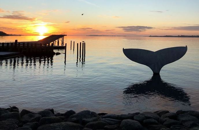 Hvalhalen ved Faaborg Havnebad ved solopgang | Hotels i kommunen | VisitFaaborg