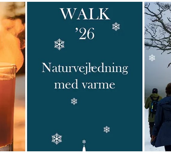 Den traditionsrige Toddy Walk med Trente Mølle 