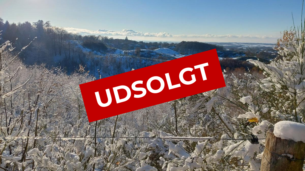 Udsolgt - guidet vintervandring